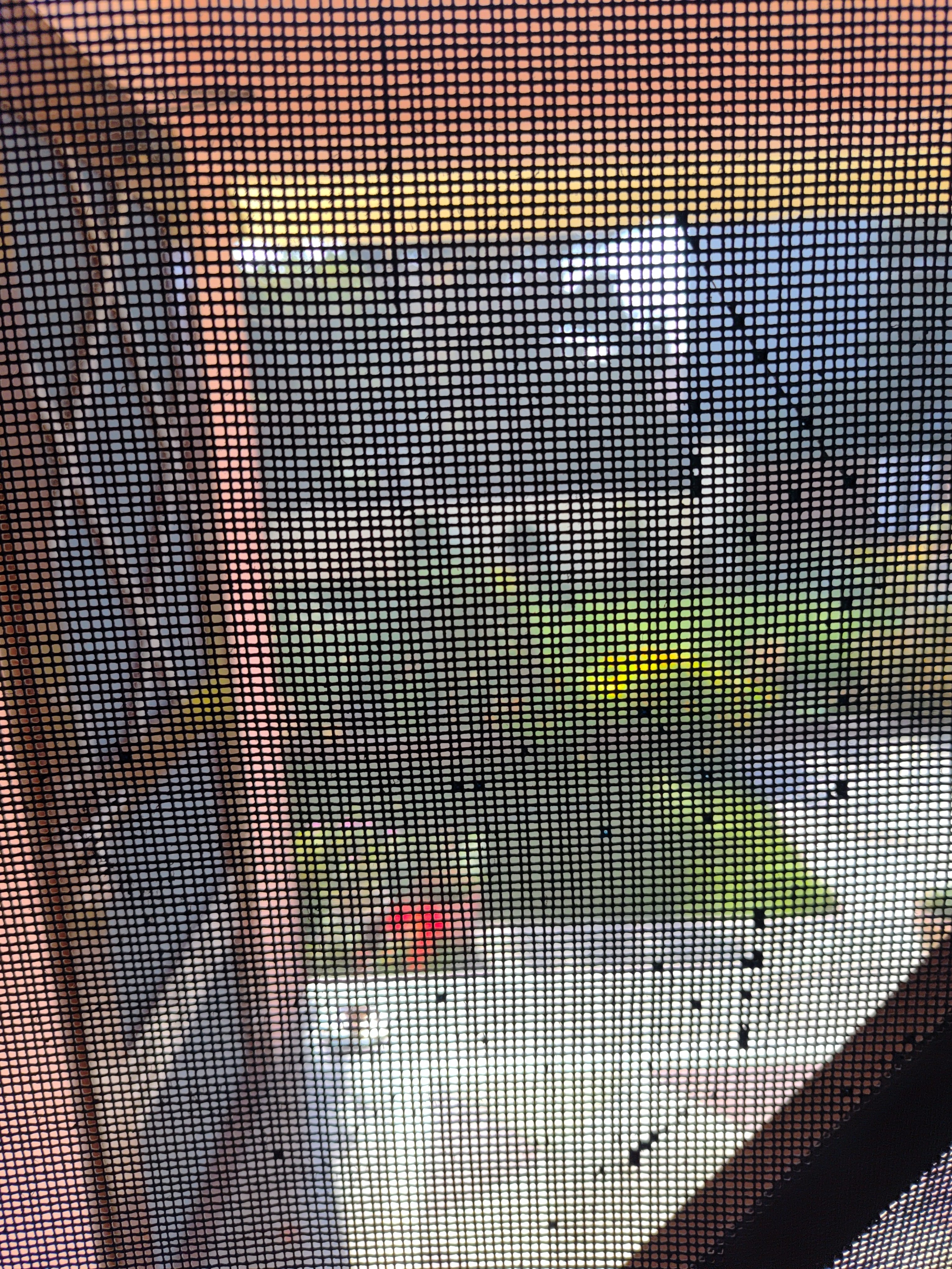 Community Engagement