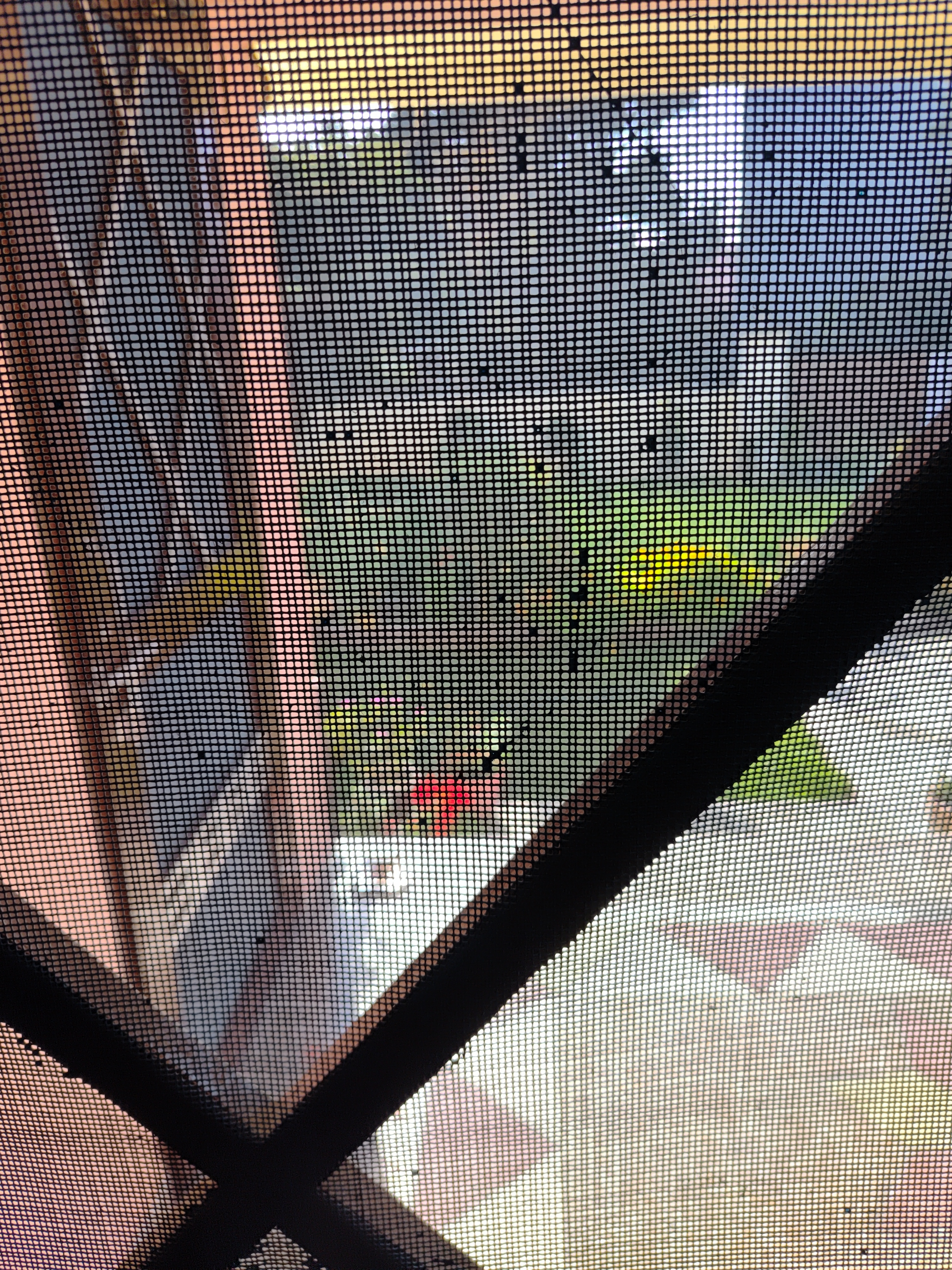 Community Engagement