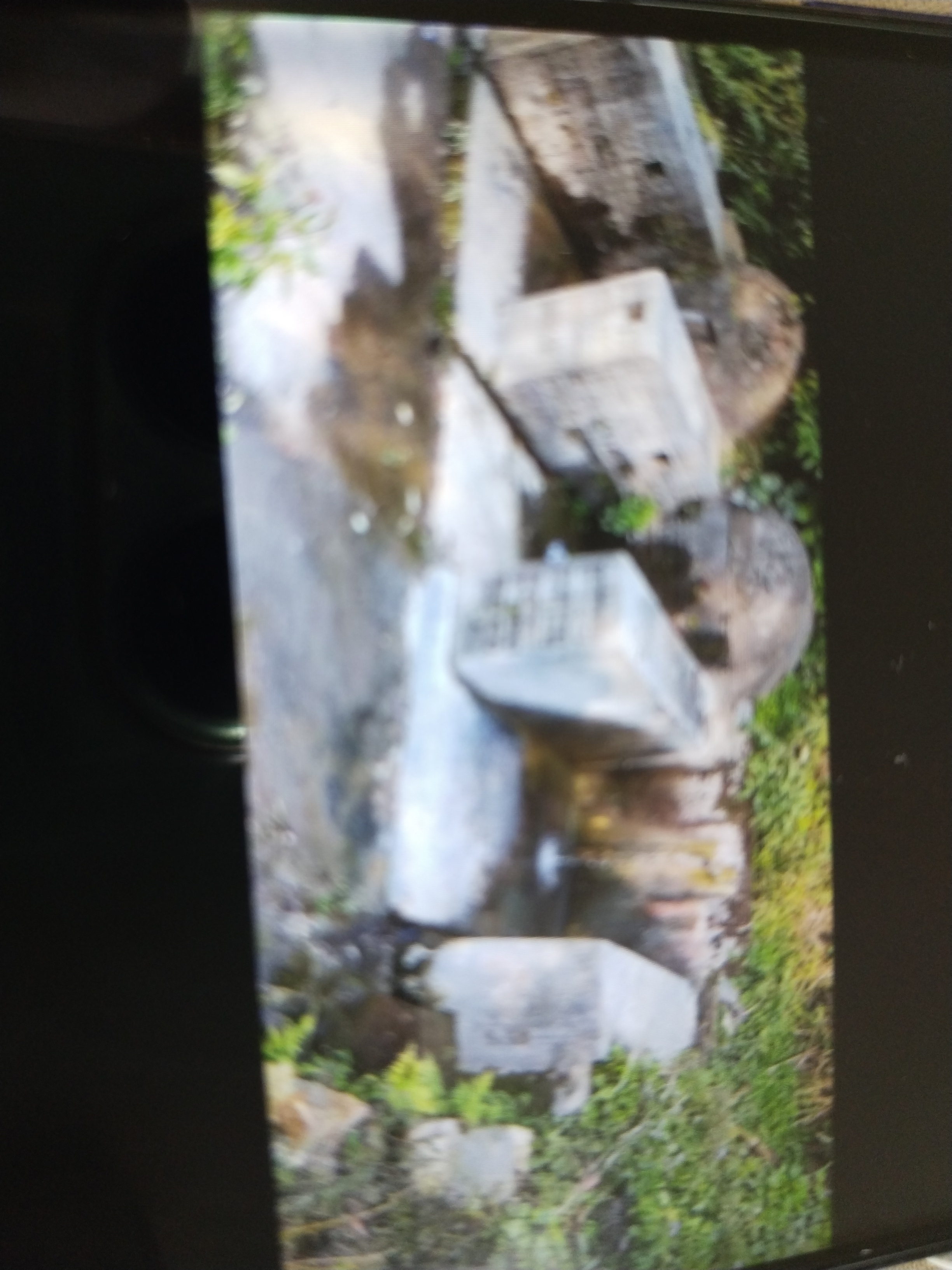 Community Engagement