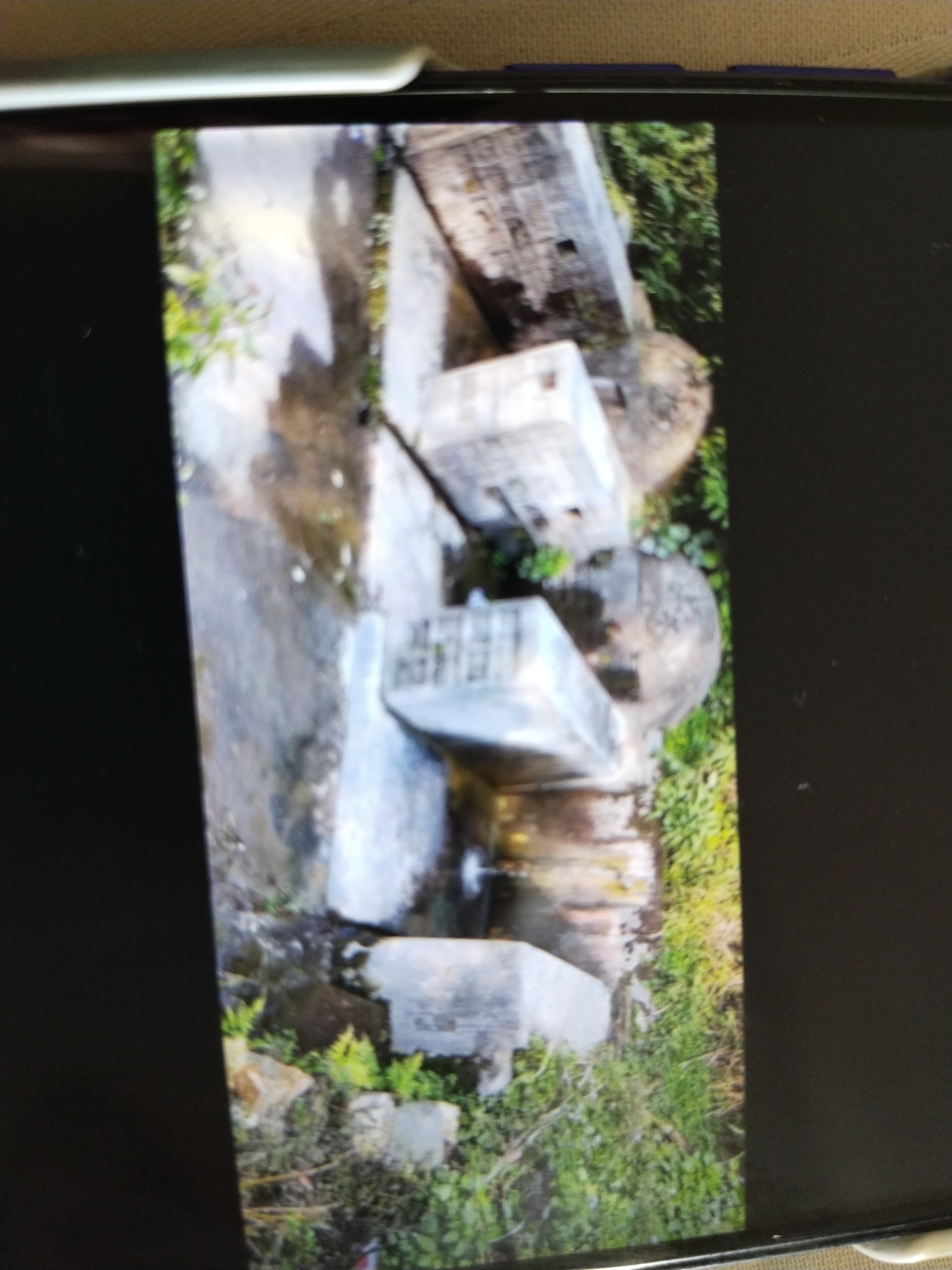 Community Engagement