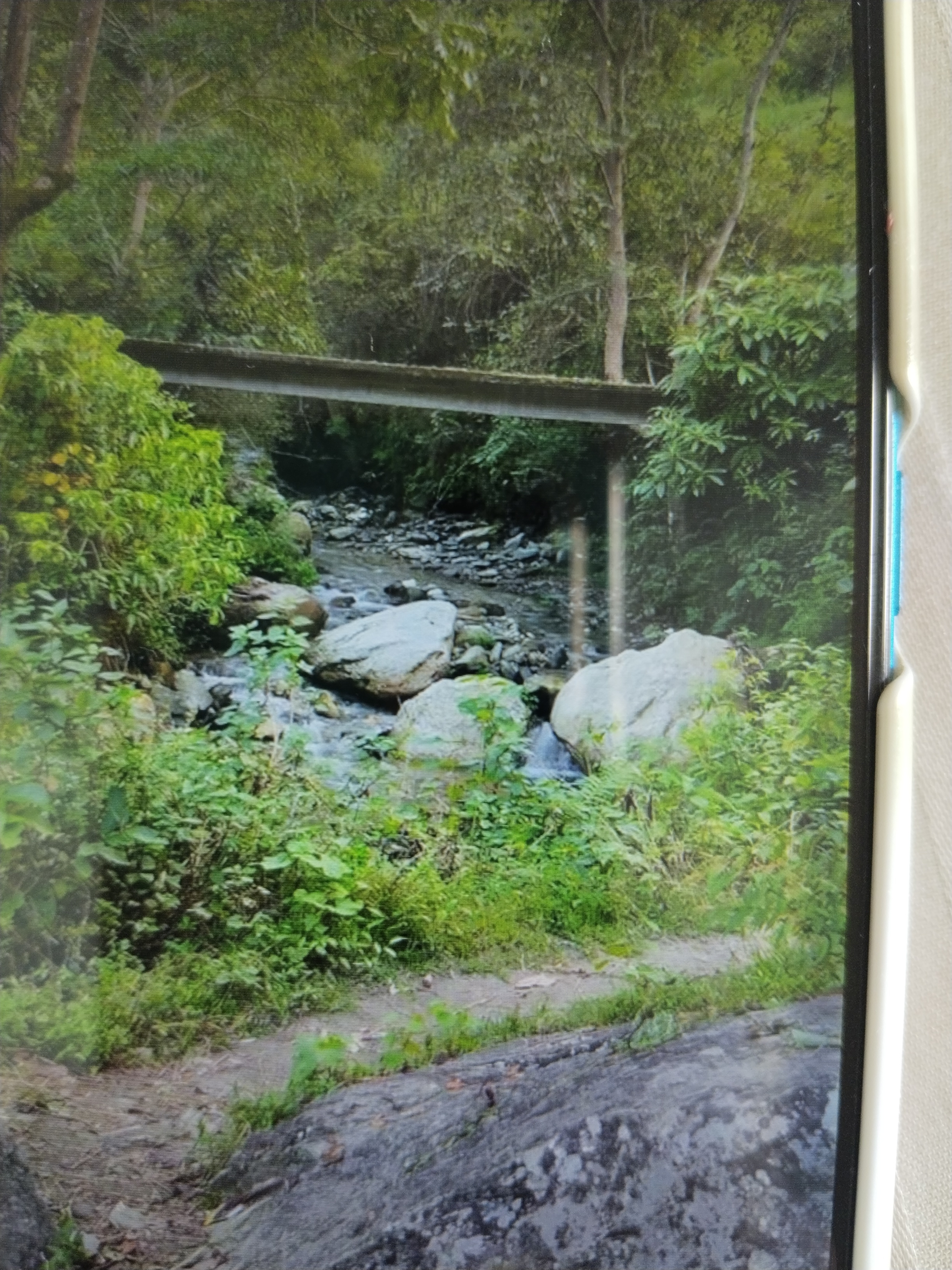 Community Engagement