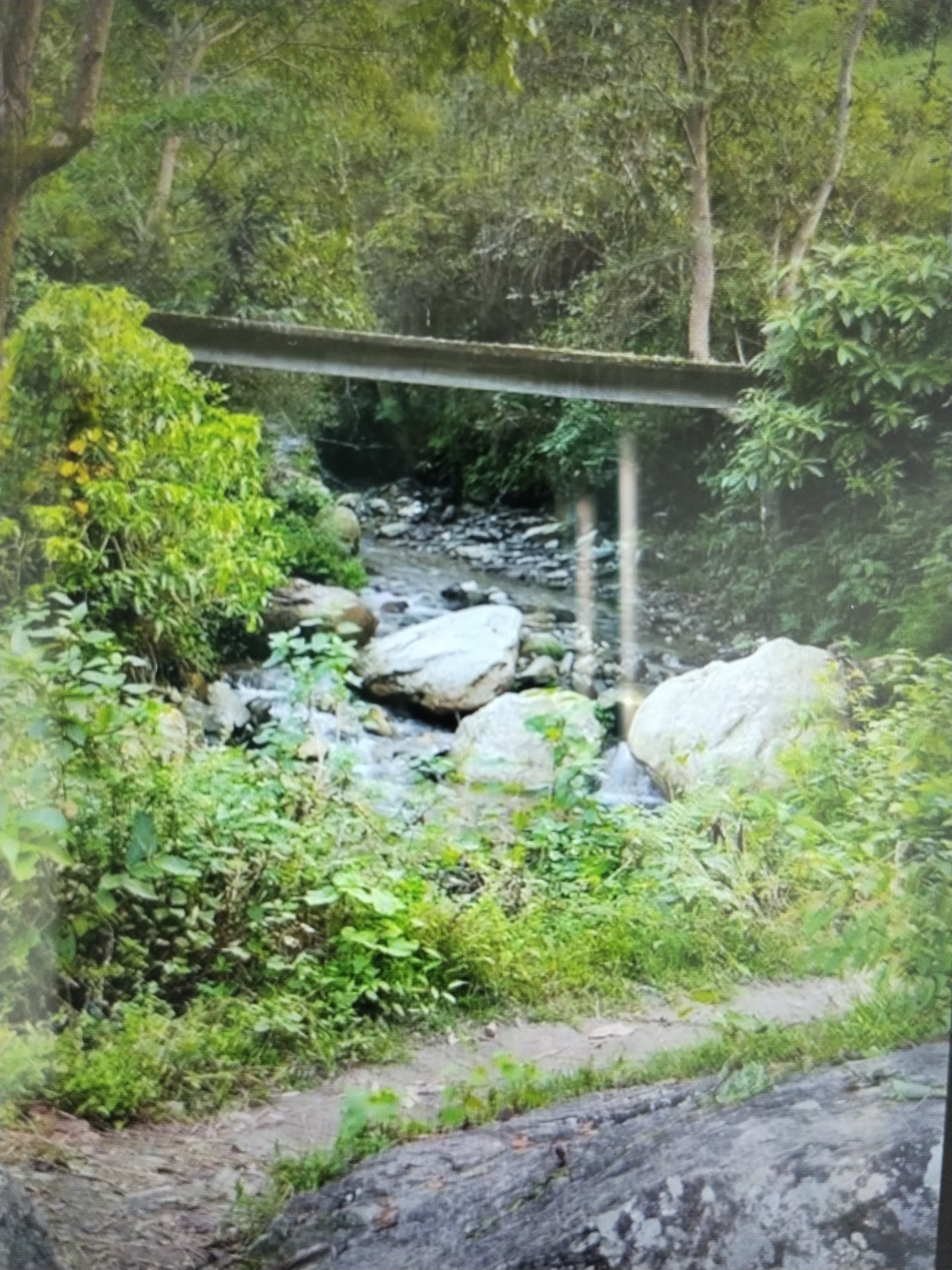 Community Engagement