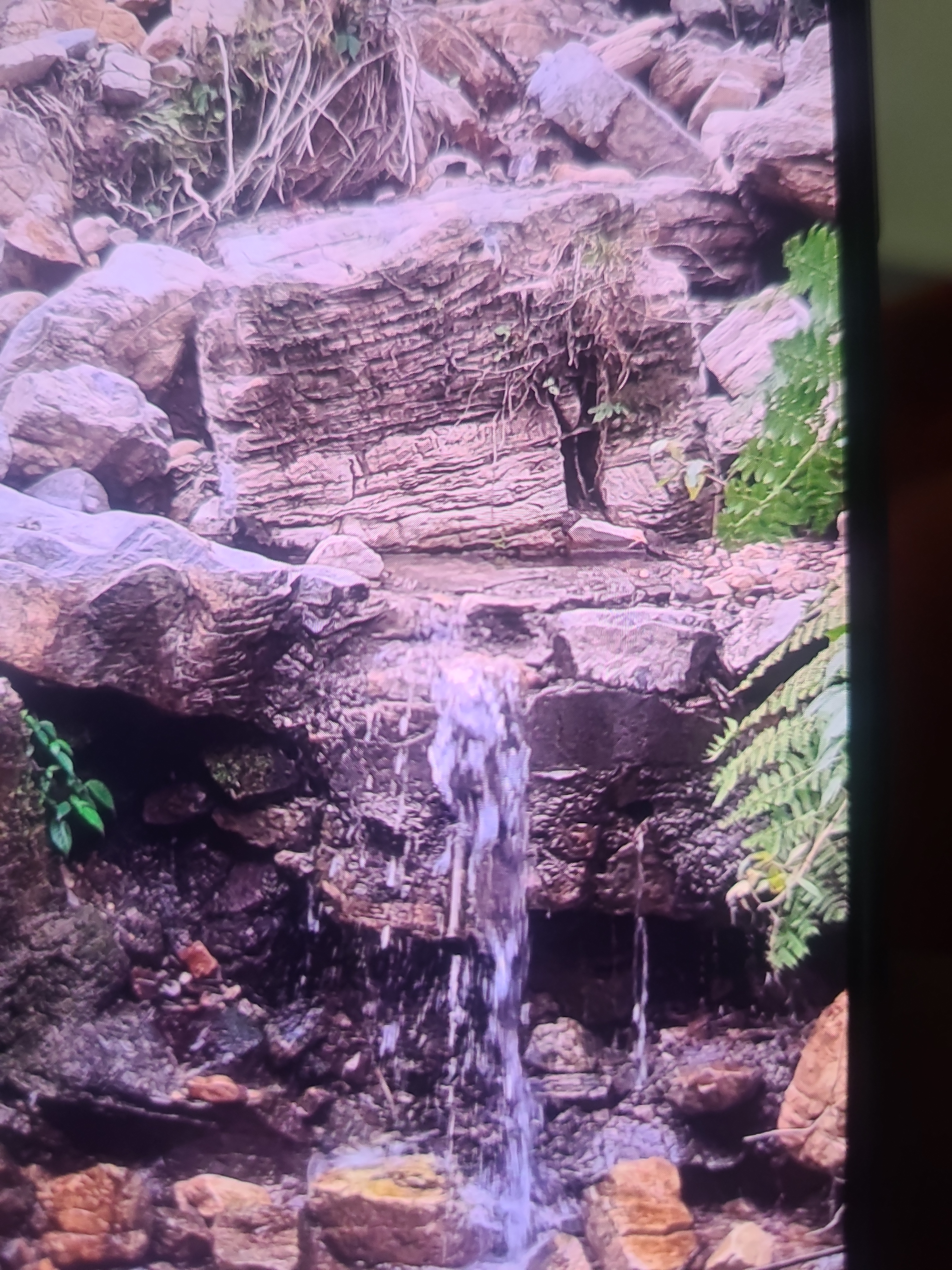 Community Engagement