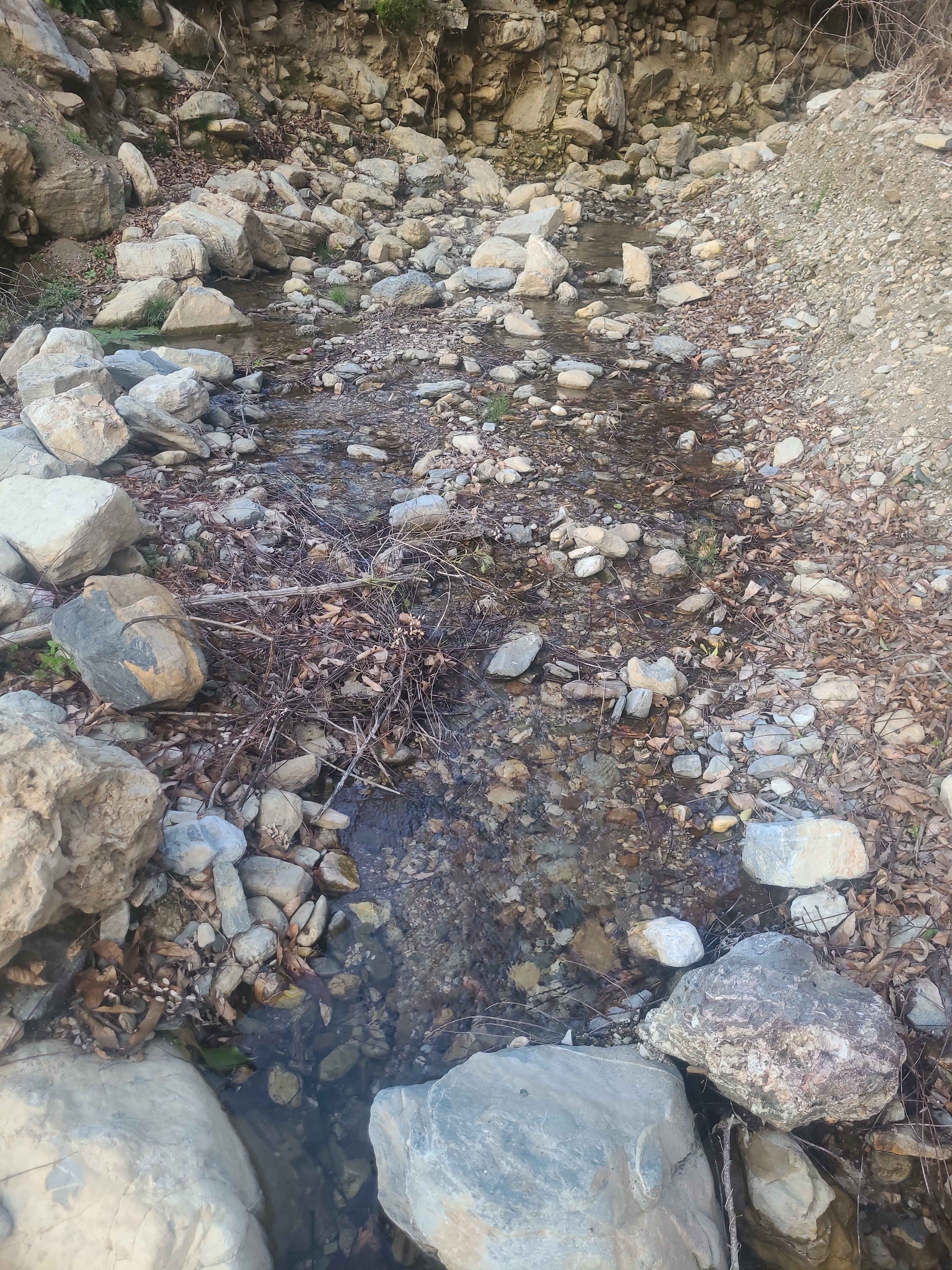 Community Engagement