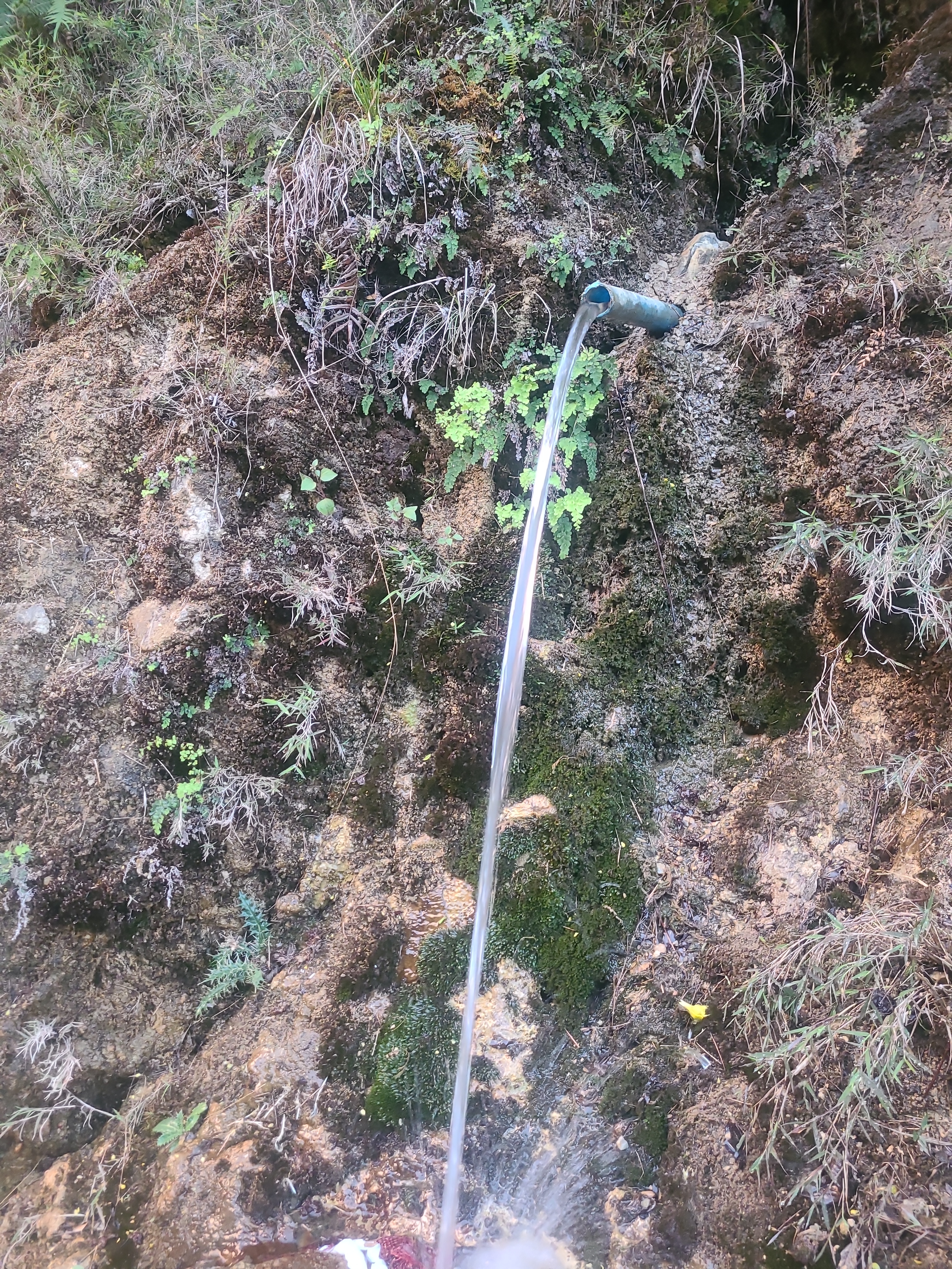 Community Engagement