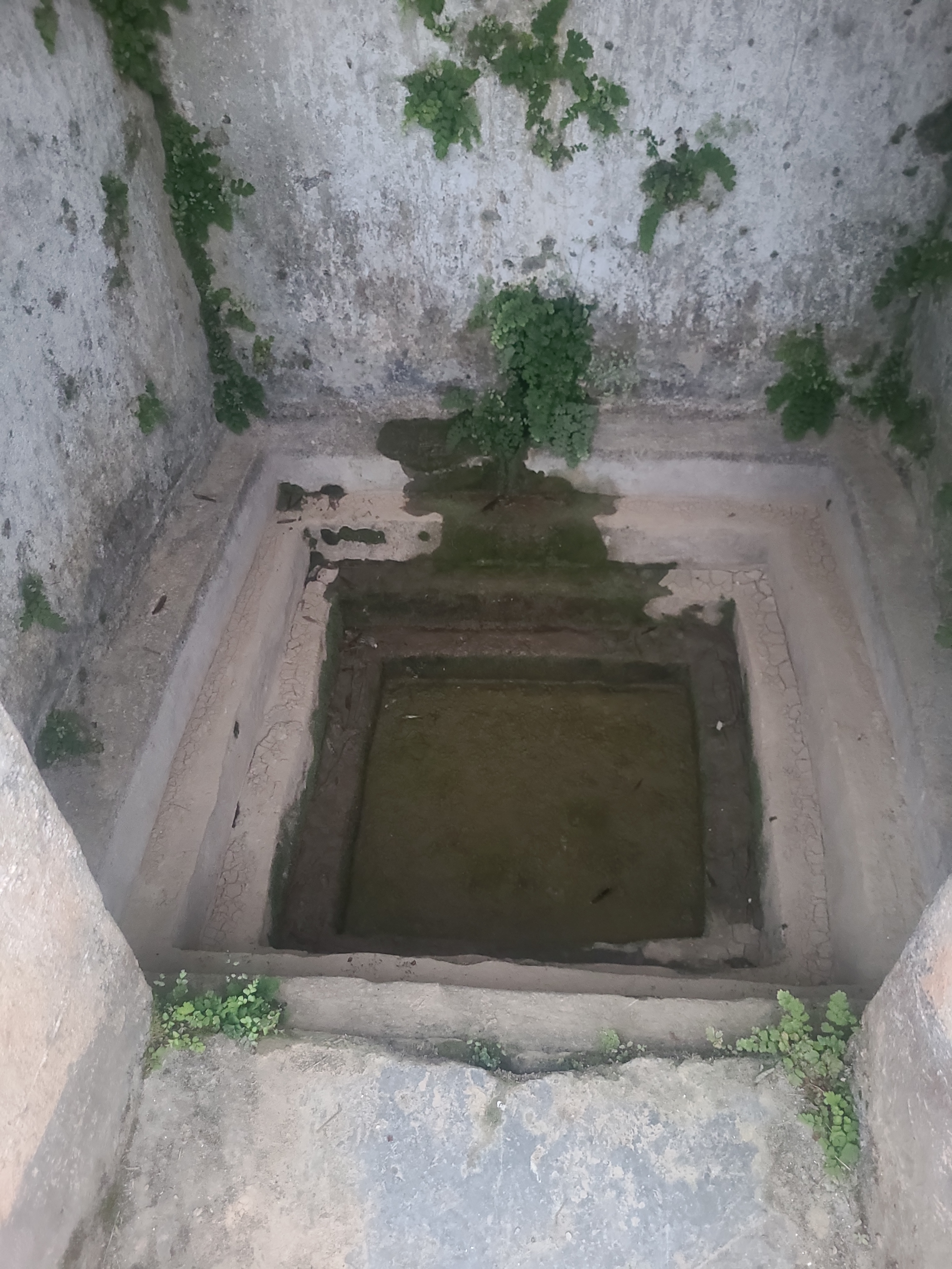 Community Engagement