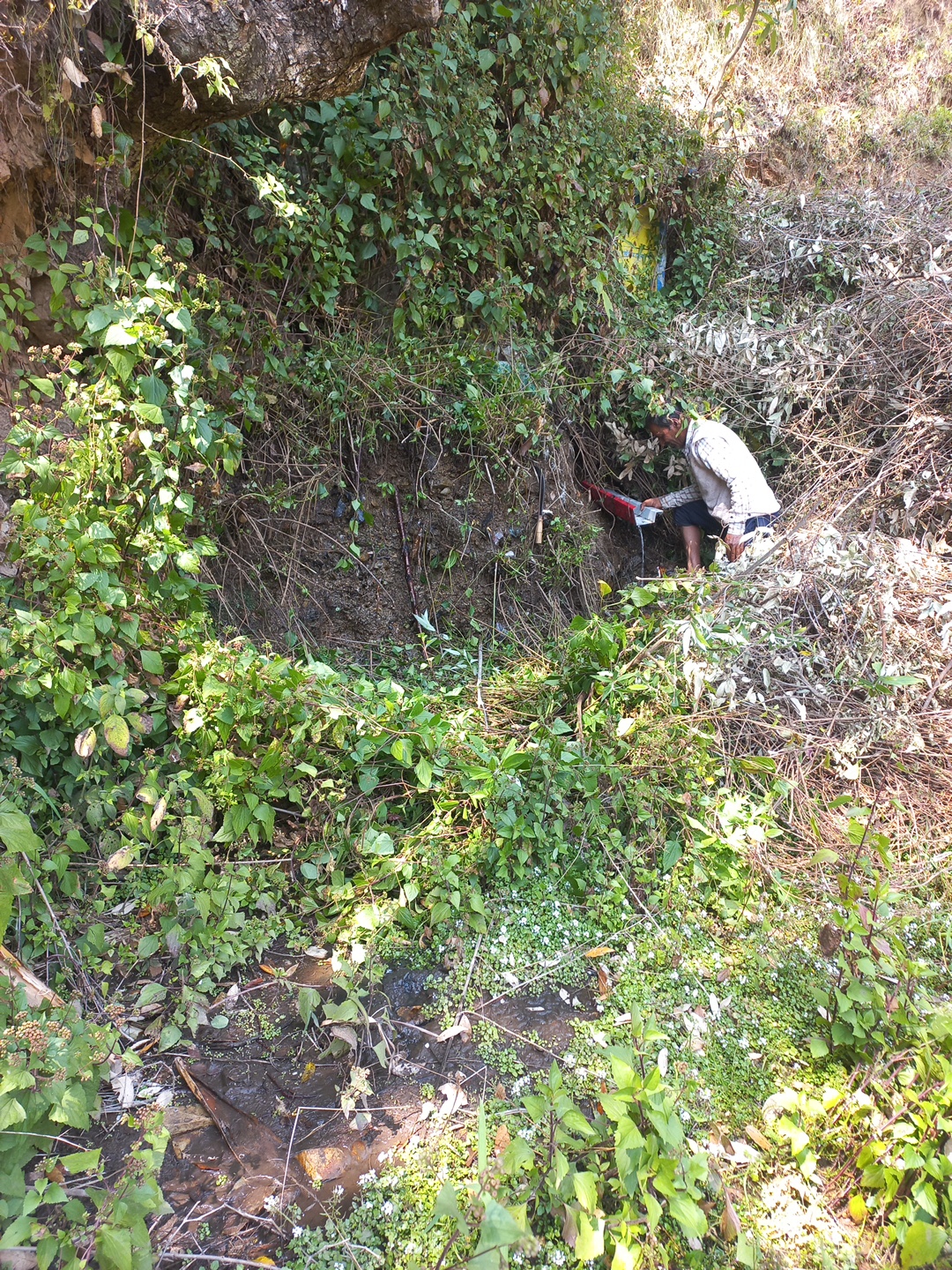 Community Engagement