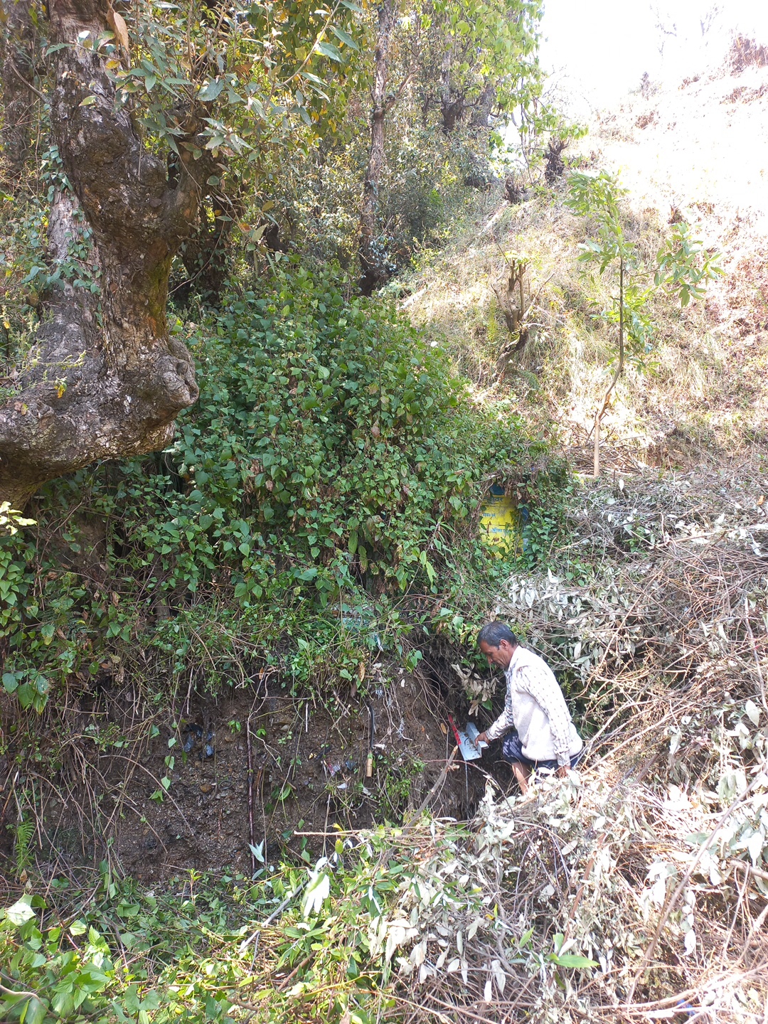 Community Engagement