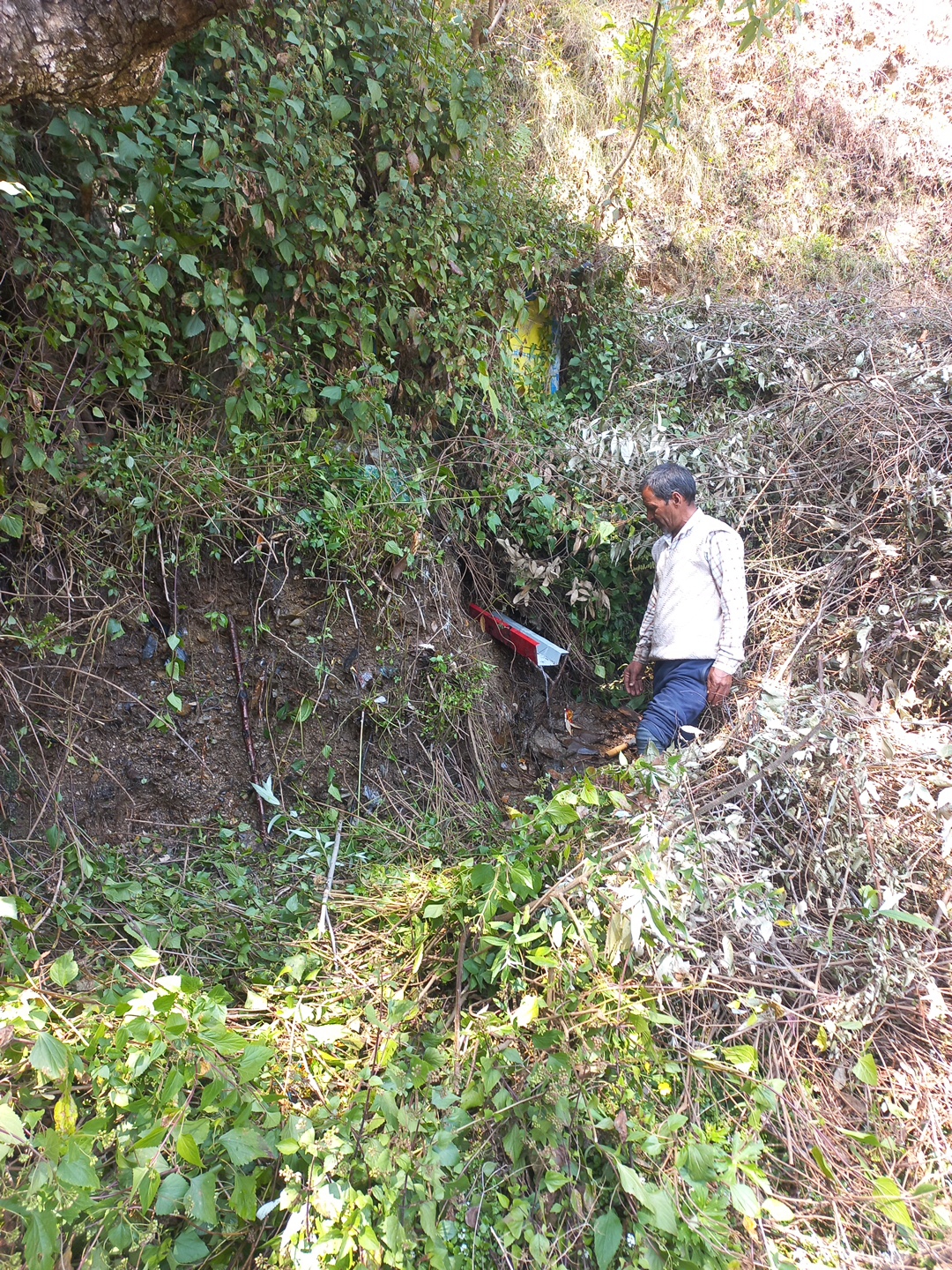 Community Engagement