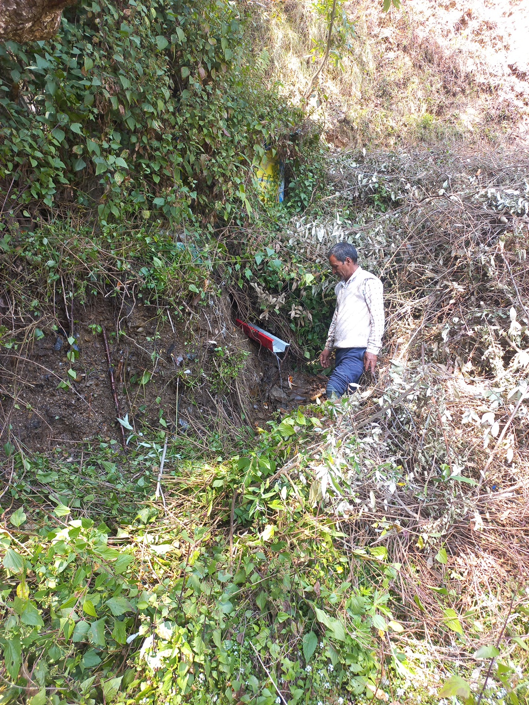 Community Engagement