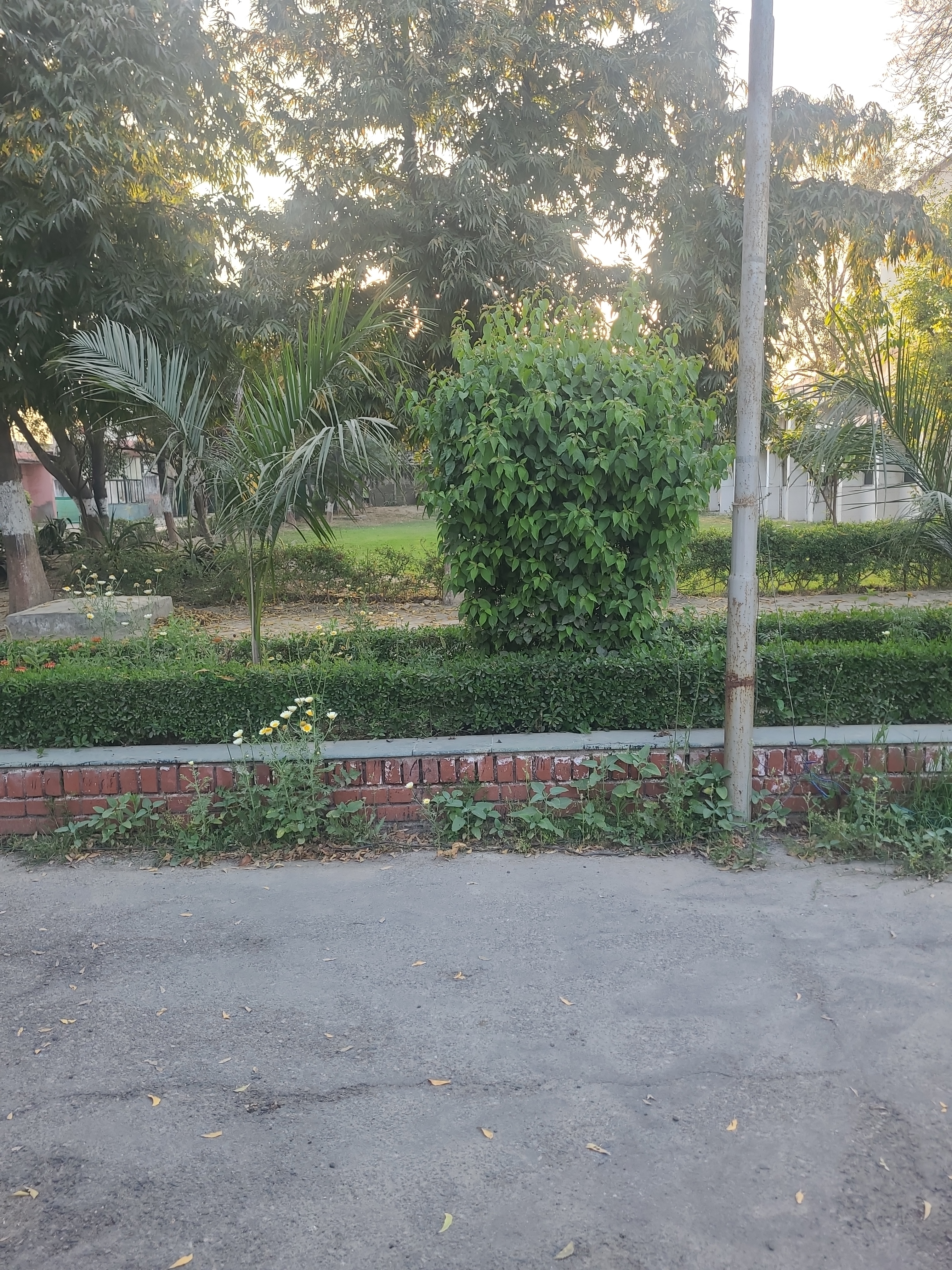 Community Engagement