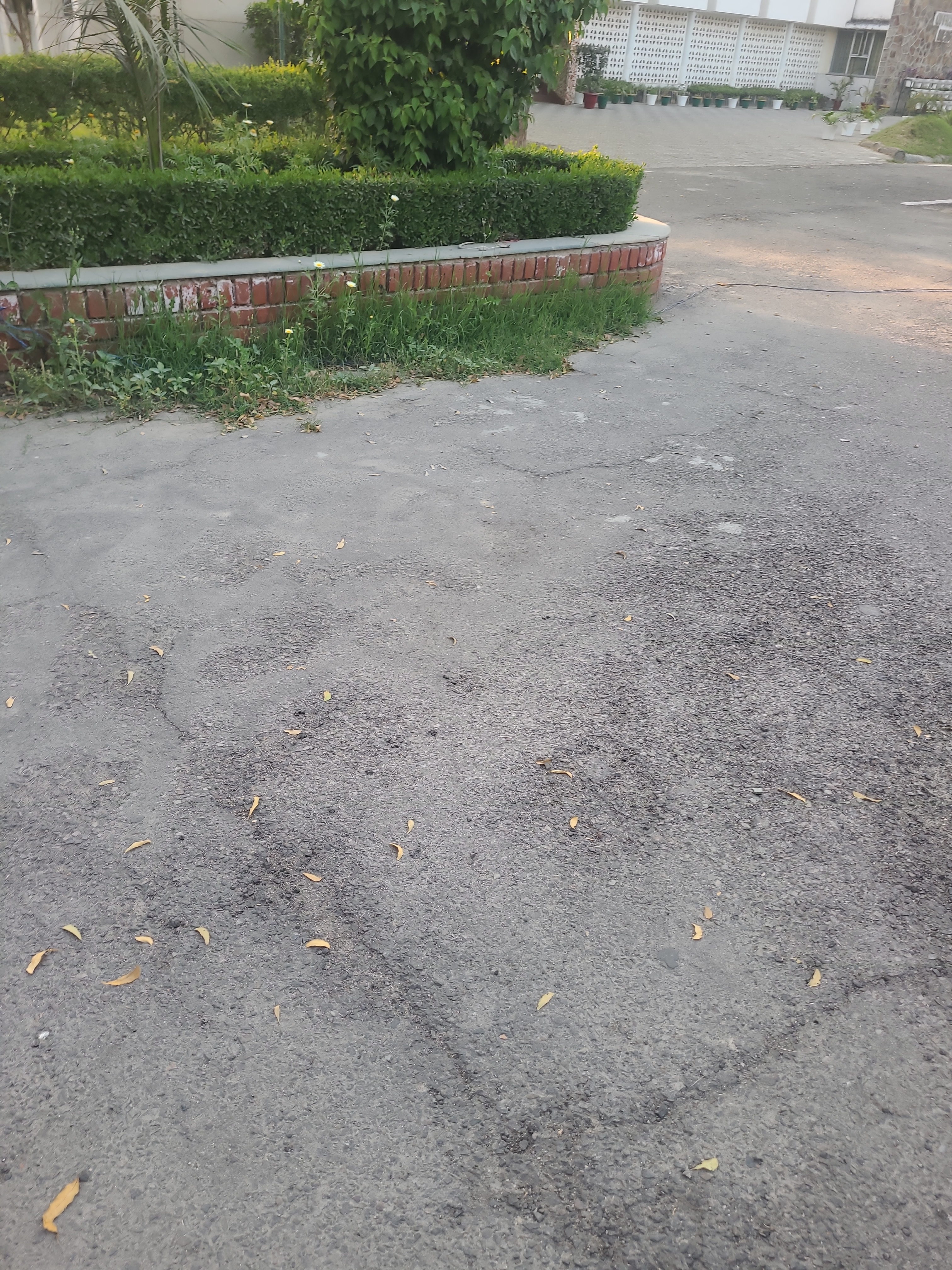 Community Engagement