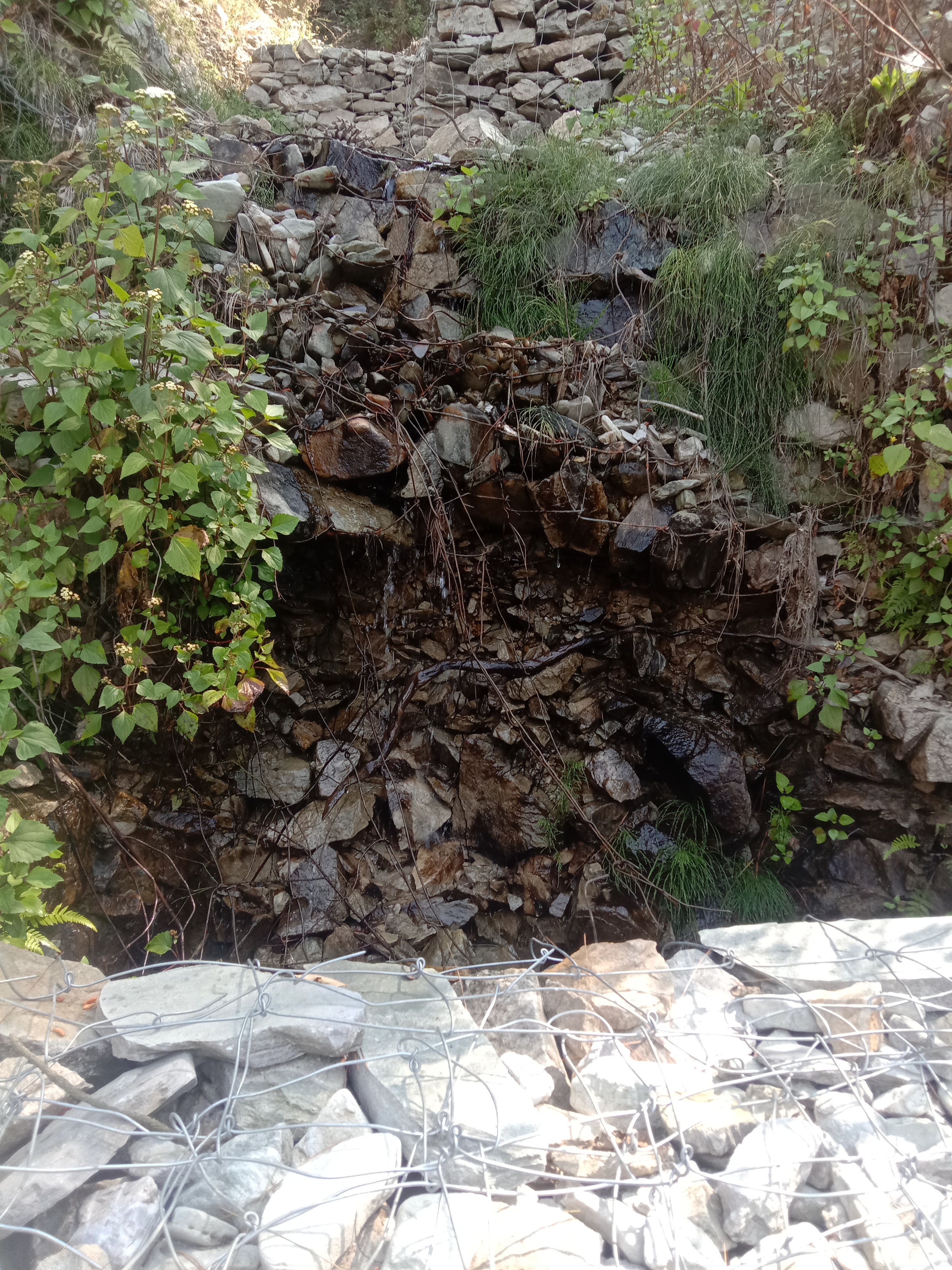 Community Engagement