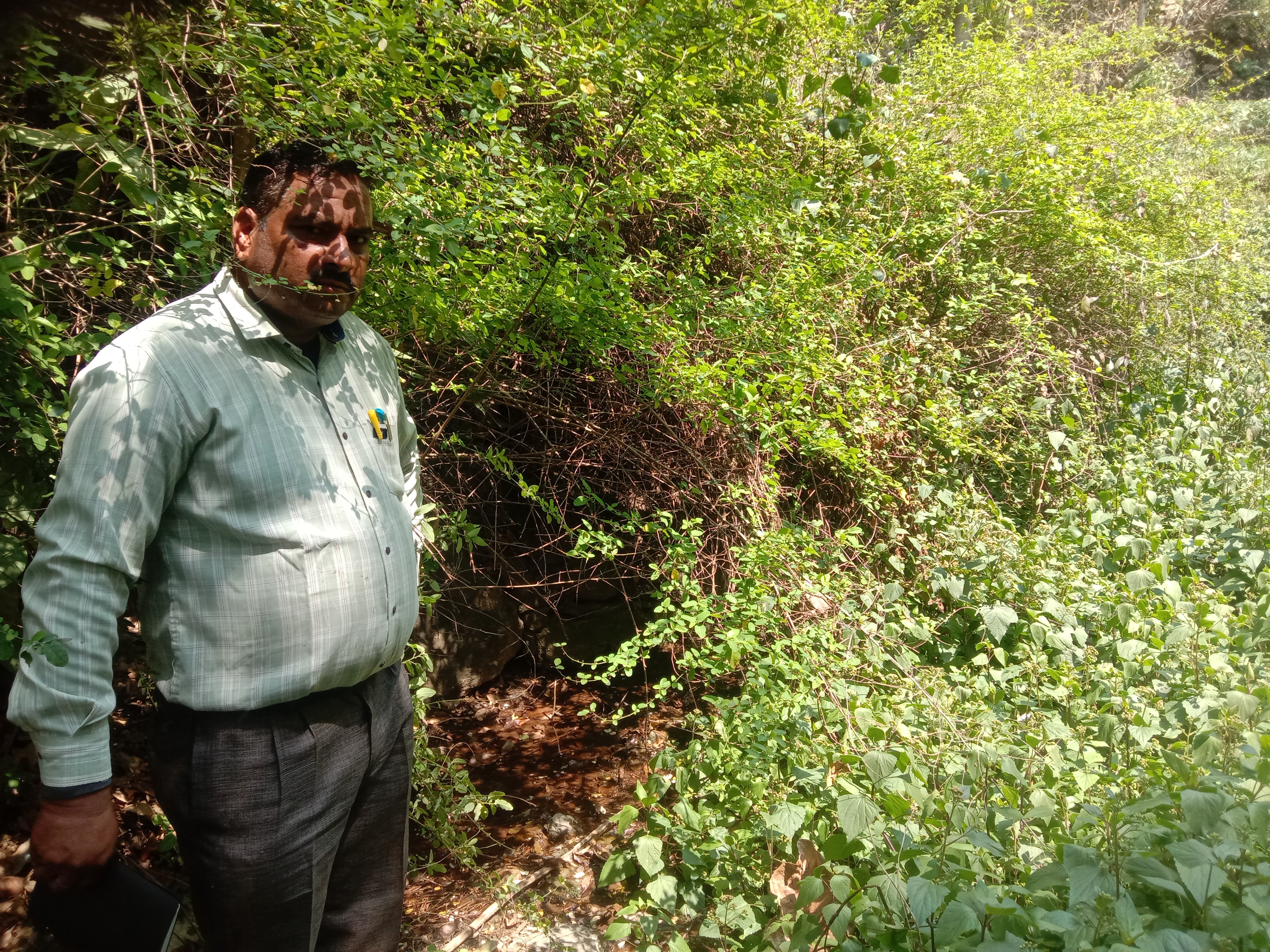 Community Engagement