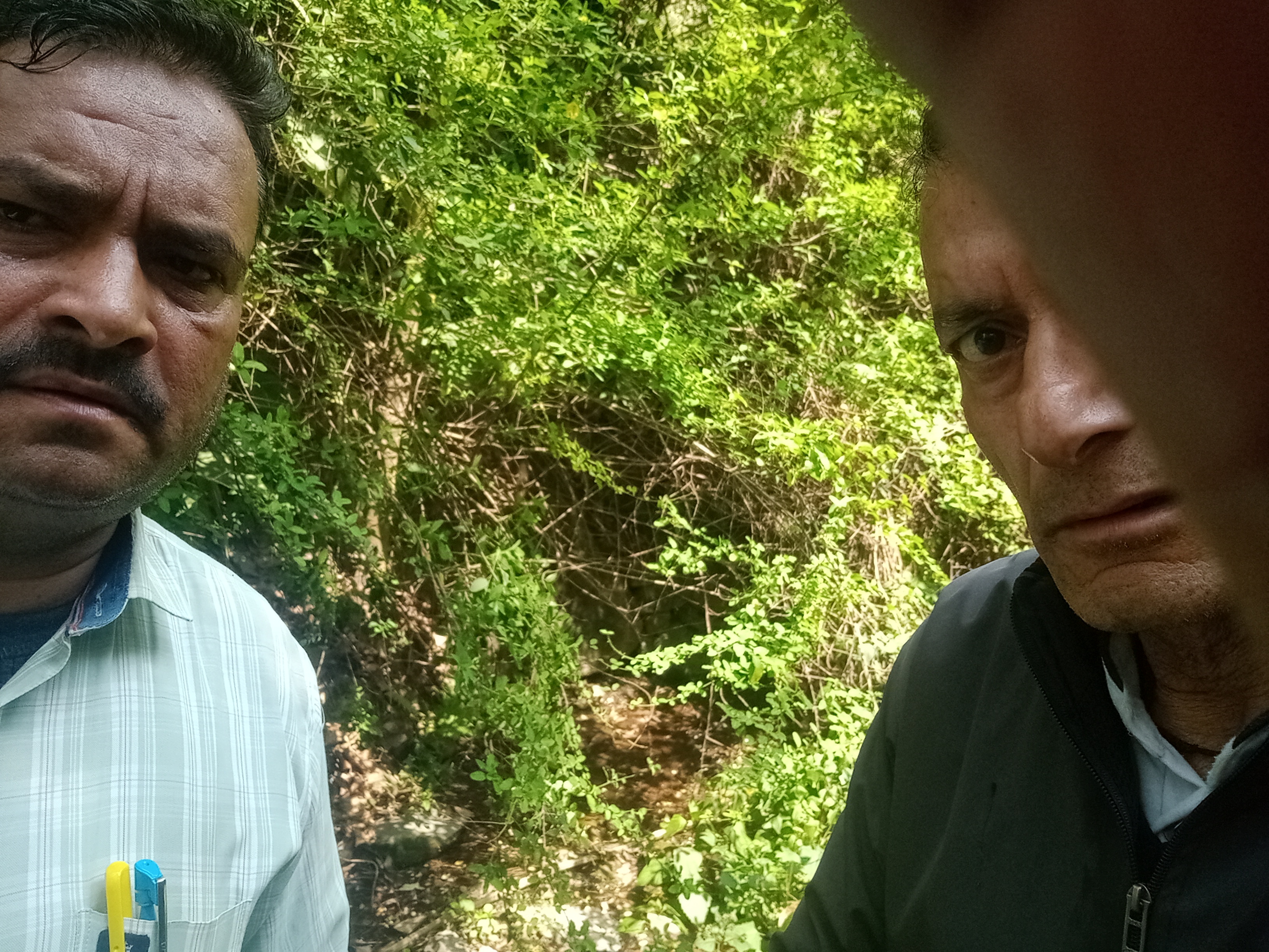 Community Engagement