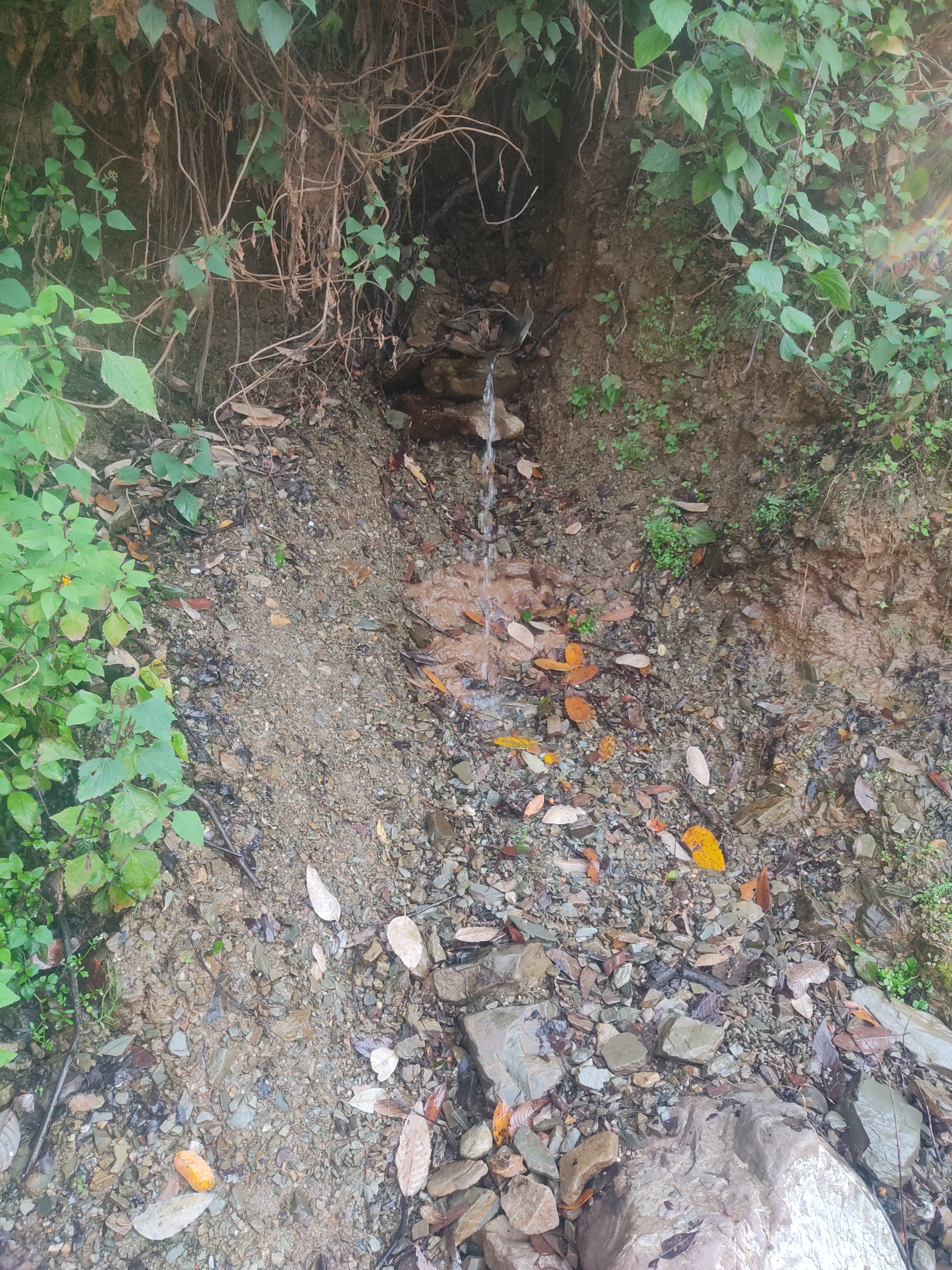 Community Engagement