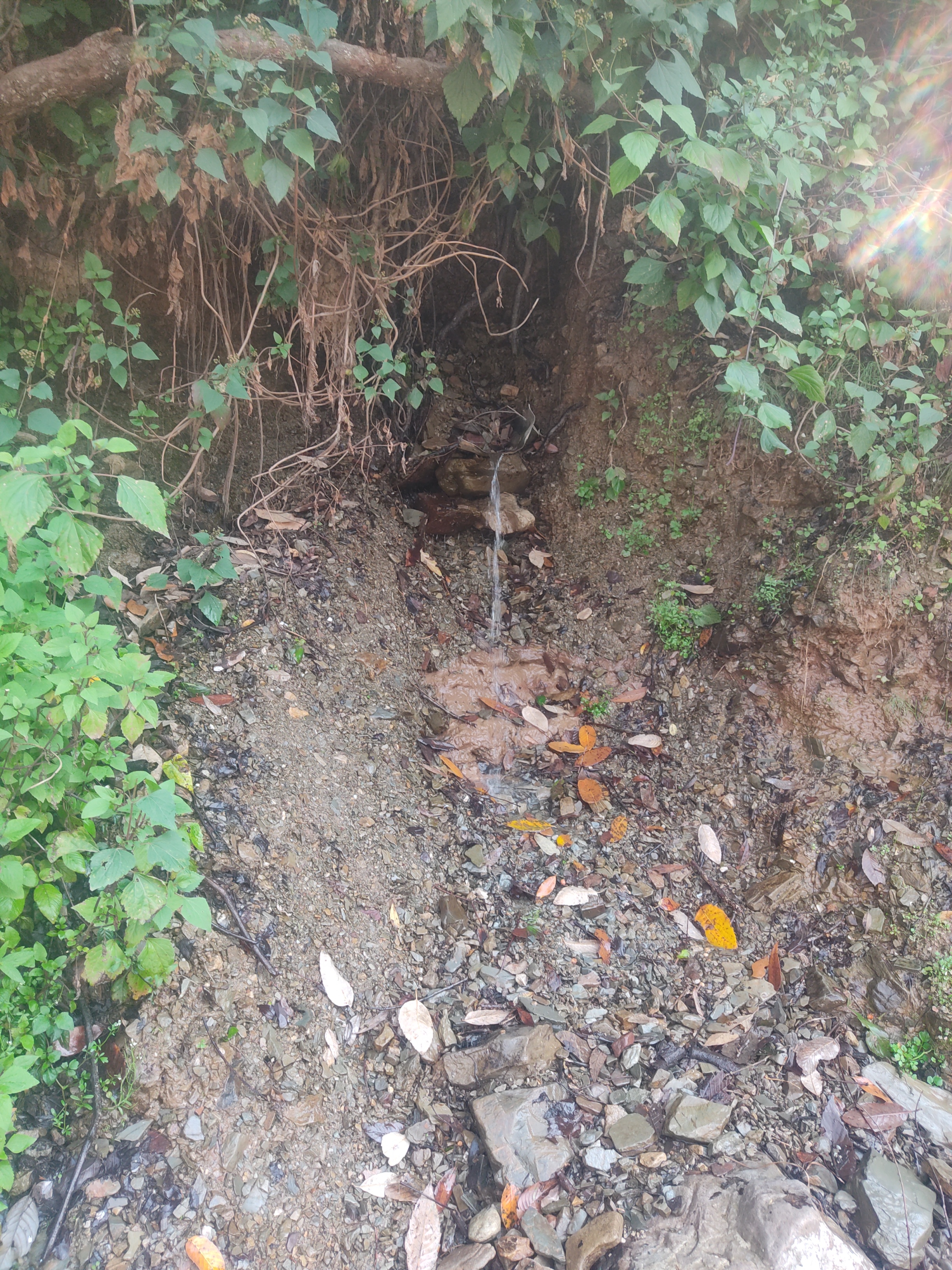 Community Engagement