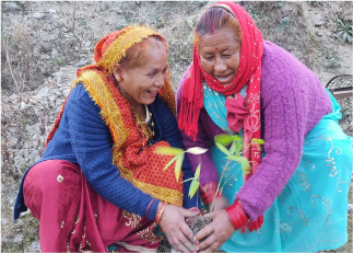 Community Engagement