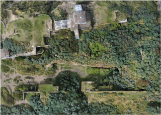 Community Engagement